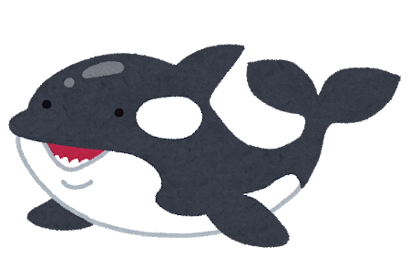 animal_shachi_killer_whale.png